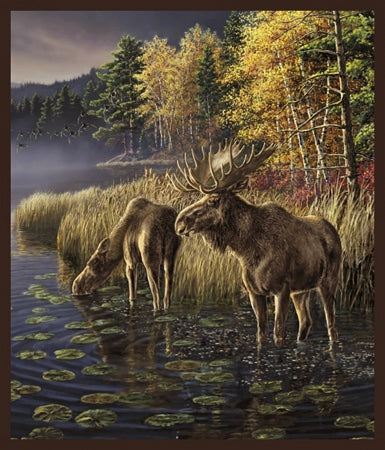 Windham Fabrics 50903 X Moose Lake