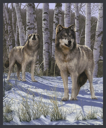 Windham Fabrics 50904 X Snow Wolf