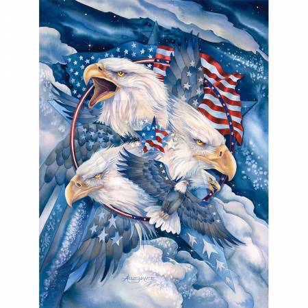 Eagle Digital Panel 8703X, Sykel