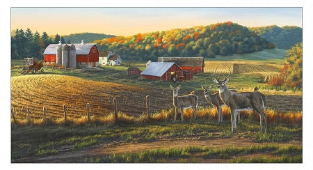 Multi Whitetails Digital Panel 8900, Elizabeths Studio