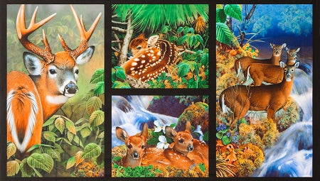 Nature North American Wildlife Panel 18460 268, Kaufman