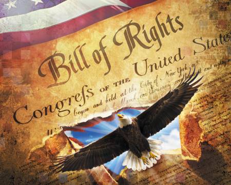 Land of Liberty Bill of Rights AL39140C1 Digital 36 Inch Panel, David Textiles