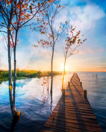 Morning Dream Long Dock Digital Panel AL39930C1, David Textiles