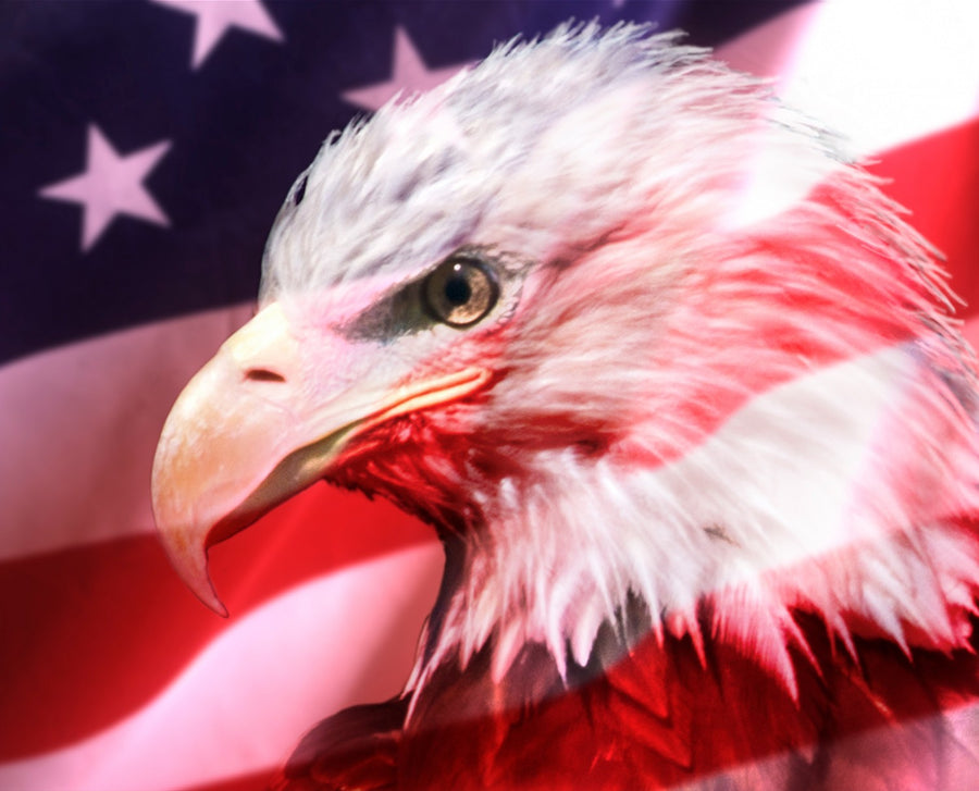 Eagle Flag AL44540C1 Digital Panel David Textiles