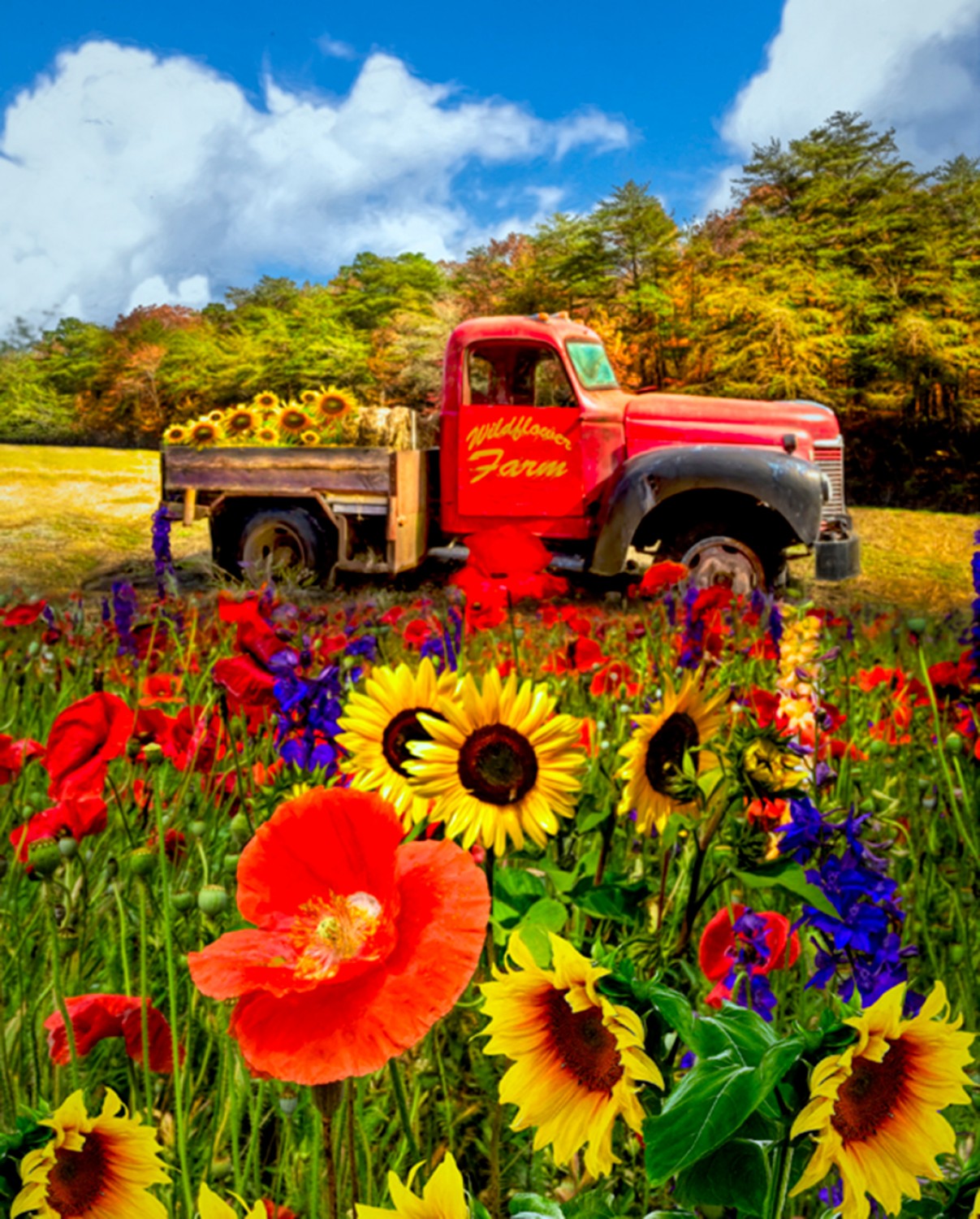 Wildflower Farm AL44750C1 Digital Print David Textiles