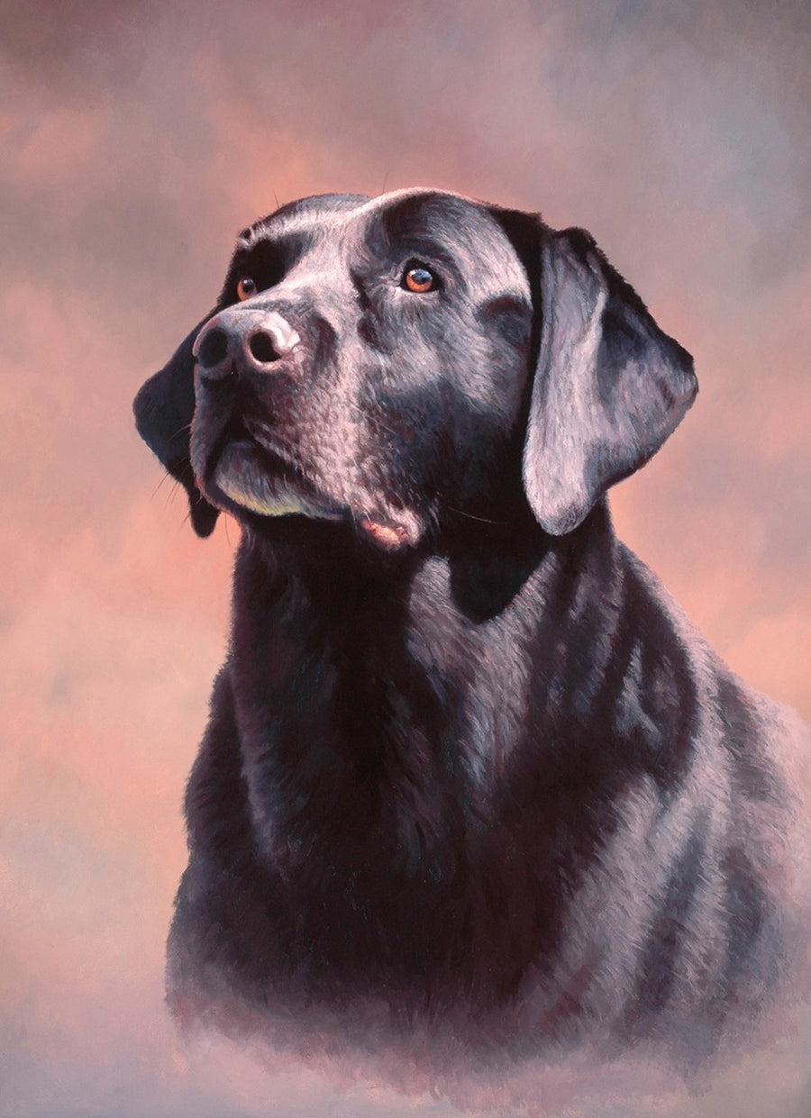 Black Lab AS01012C1 36 Inch Digital Panel David Textiles