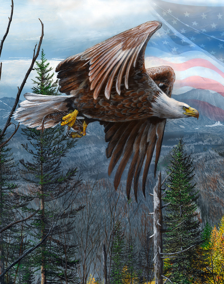 May Freedom Forever Fly BW00214C1 36 Inch Digital Panel David Textiles