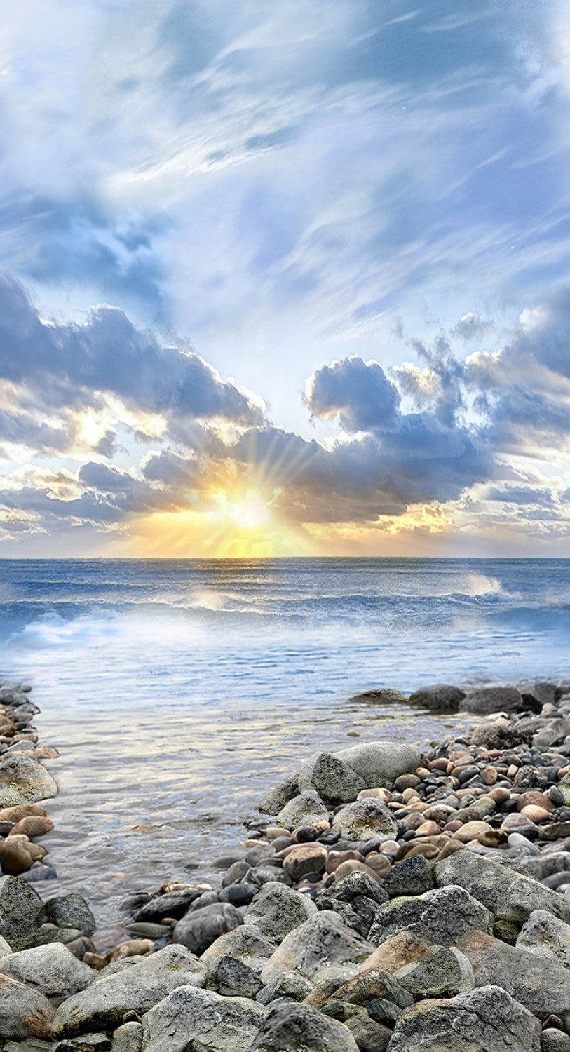 Sunrise on the Coast C8390 Panel Timeless Treasures