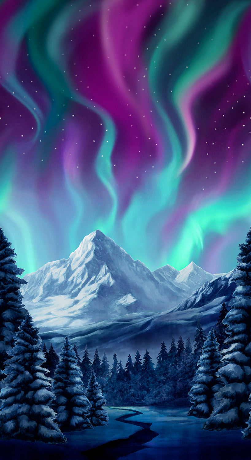 Multi Northern Lights 24 Inch Panel CD3494 Timeless Treasures