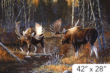 Naturescapes Majest Moose DP21825 36 Digital Panel Northcott