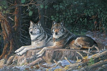Naturescapes Resting Point DP21938 94 Wolves Digital Panel, Northcott