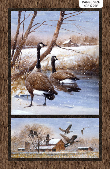 Take a Gander DP23511 34 Goose Digital Panel, Northcott