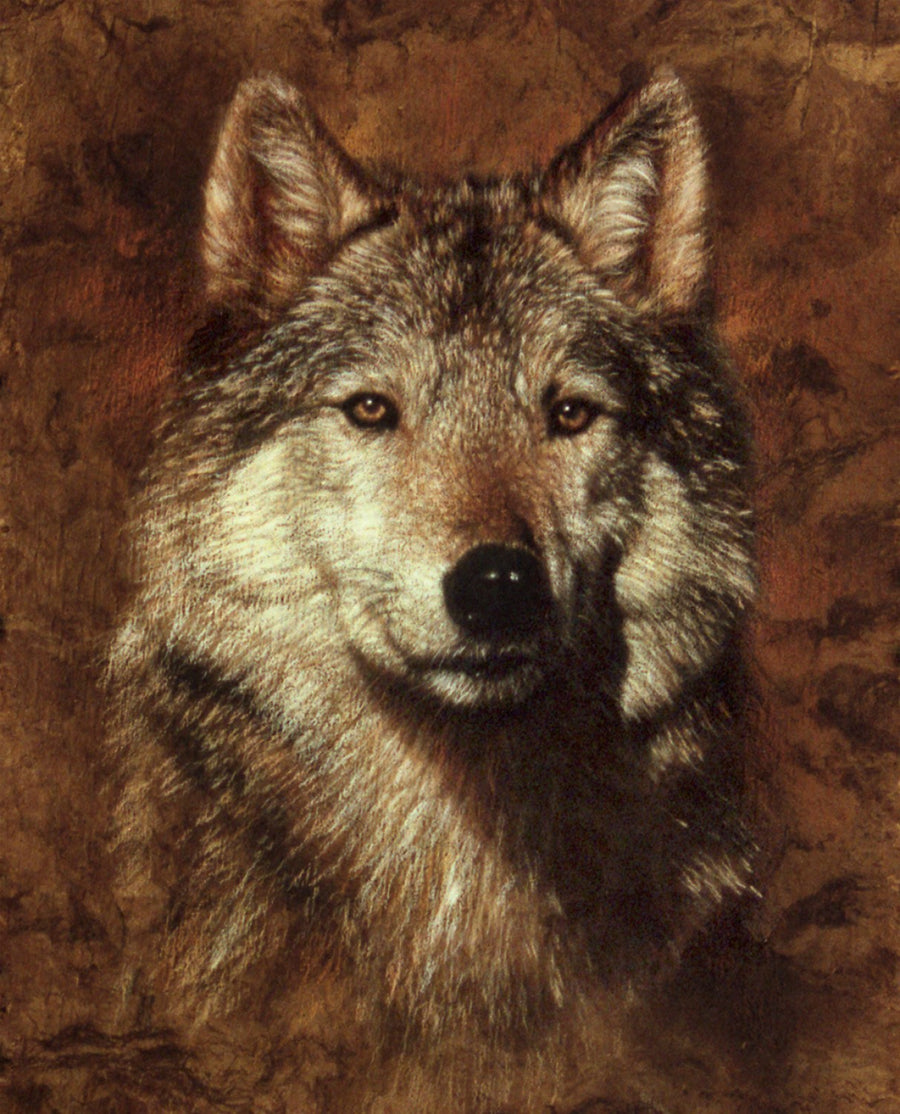 Wolf ML31761C1 Digital Panel David Textiles