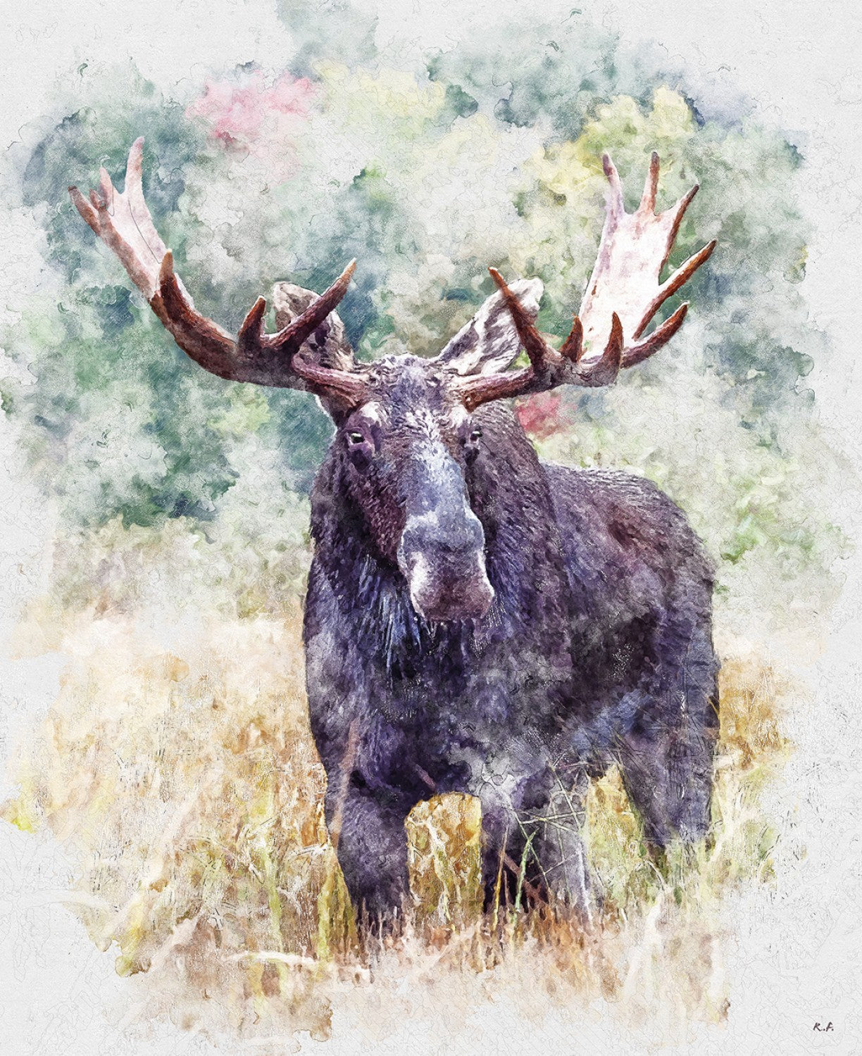 Natures Window DP11867 Moose 36 Inch Digital Panel Riley Blake