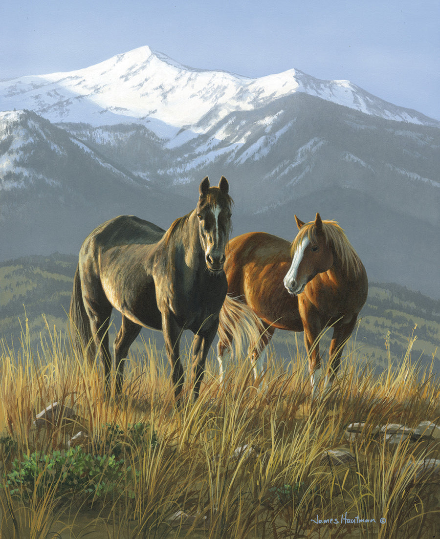 Wild Horses PD15530 Smoky Digital Panel 36 x 43 Inch Riley Blake