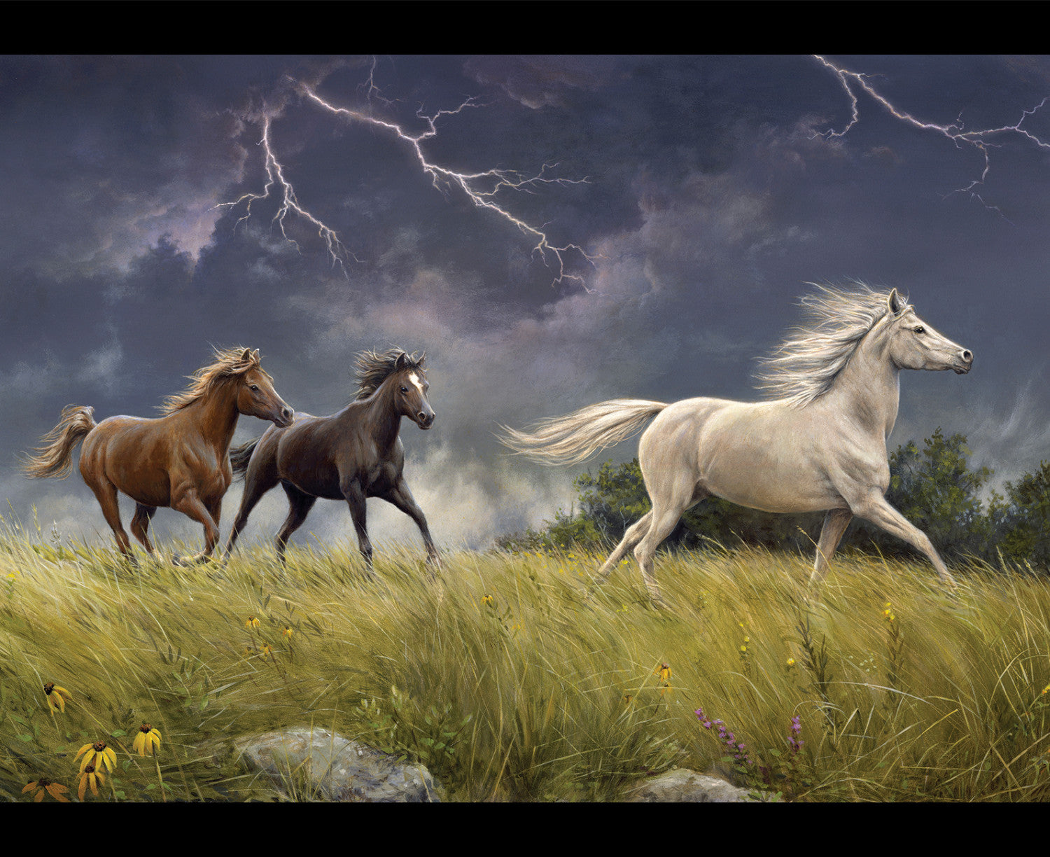 Wild Horses PD15534 Storm Digital Panel 36 x 43 Inch Riley Blake