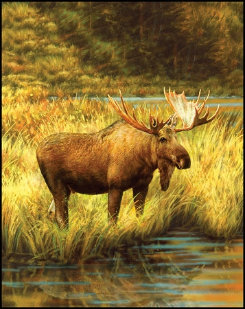 Majestic Digital Panel PD6480 Moose, Riley Blake