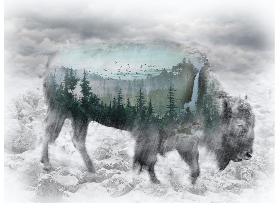 Call of the Wild T4858 483 Bison Digital Panel Hoffman