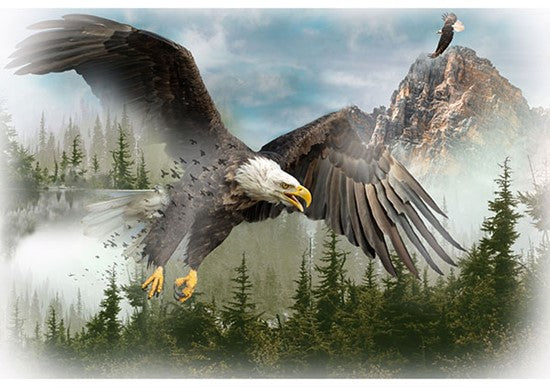 Call of the  Wild T4959 16 Eagle Digital Panel
