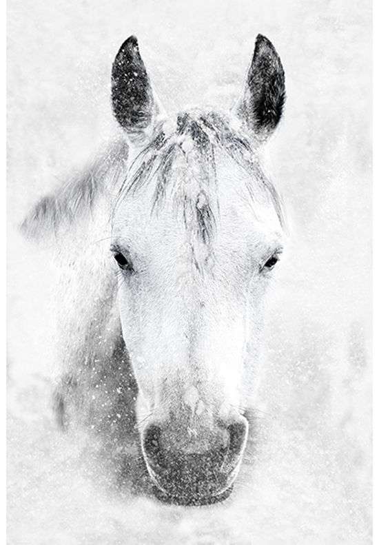 Call of the Wild U5017 147 Storm Horse Digital Panel Hoffman