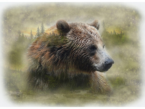 Call of the Wild U5063 260 Grizzly Digital Panel Hoffman