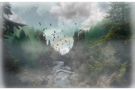 Call of the Wild U5064 181 Rainbow Stream Digital Panel Hoffman
