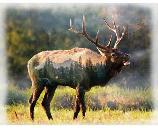 Call of the Wild U5068 151 Elk Digital Panel Hoffman