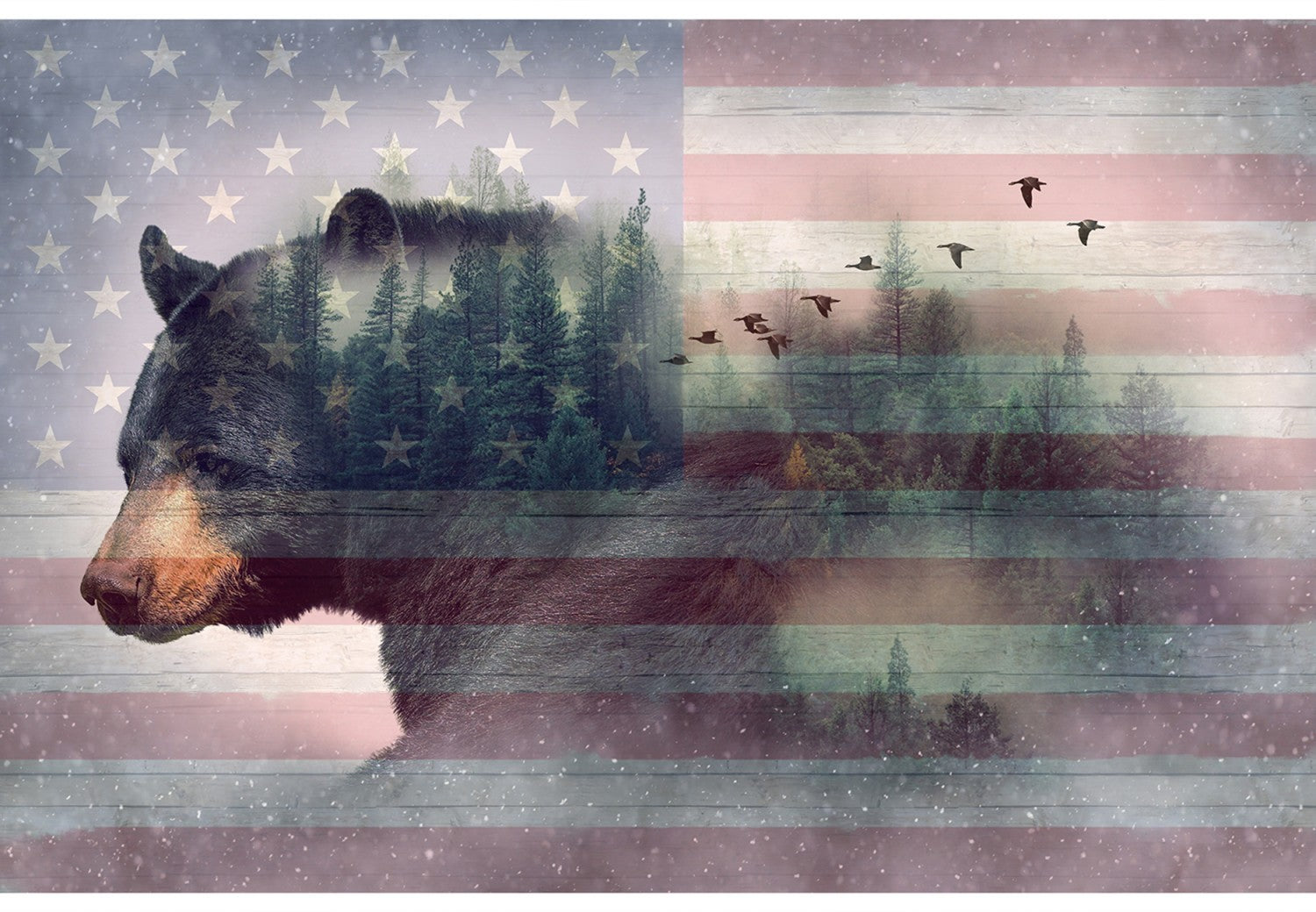 American Wild V5216 696 Grizzly Bear Digital Panel Hoffman