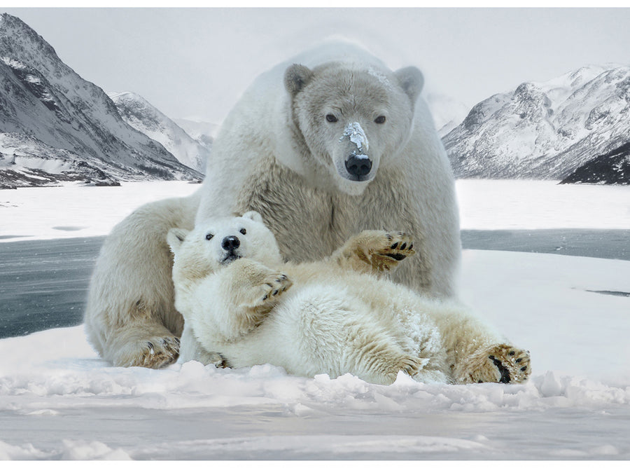 Call of the Wild Polar Bears W5375 113 Digital Panel Hoffman
