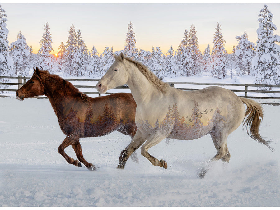 Call of the Wild Mustangs W5377 151 Digital Panel Hoffman