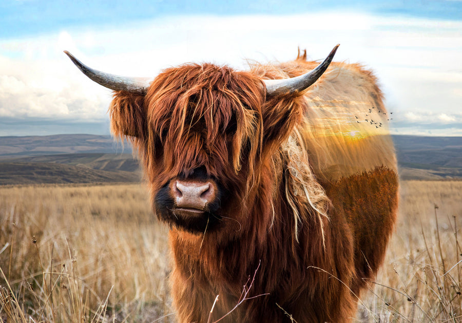 Call of the Wild W5422 39 Highland Cow Digital Panel Hoffman